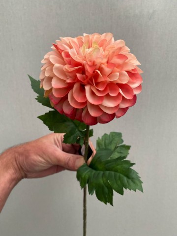 8 dahlia zijde nr 8 5