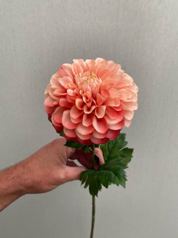 8 dahlia zijde nr 8 7