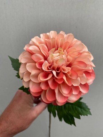 8 dahlia zijde nr 8 8
