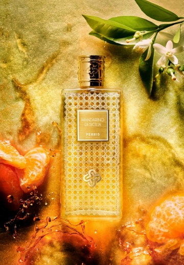 Perris mandarino di sicilia   geuren   matthijs plantenpaleis   de grote tuinverbouwing   teun kapitein 1