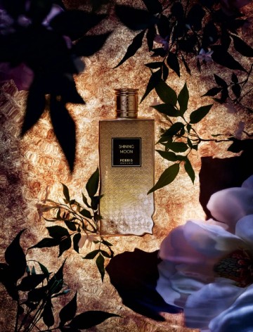 Perris shinning moon   matthijs plantenpaleis   a touch of tmb   de grote tuinverbouwing 1