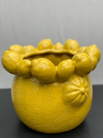 Pot citrus 1