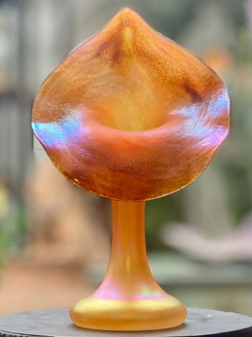 Tiffany  co art nouveau vaas jack in the pulpit 1900 1910 1