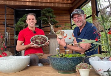 Waterlelies de grote tuinverbouwing 2024 1 0